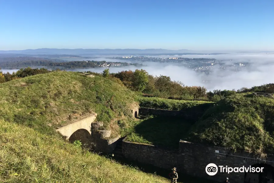 Fort du Mont-Bart