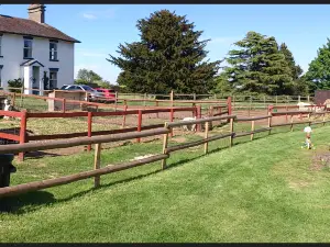 Boston Park Farm (Maize Maze)