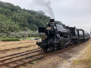 Hitoyoshi Railroad Museum MOZOCA Station 868