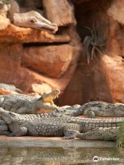 La Ferme aux Crocodiles - Réserve Tropicale