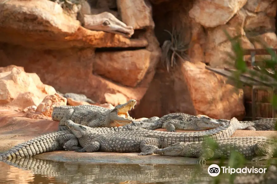 La Ferme aux Crocodiles - Réserve Tropicale