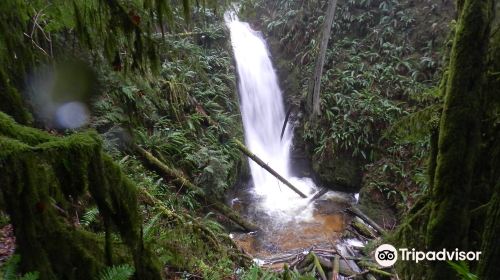 Burnett Falls Park