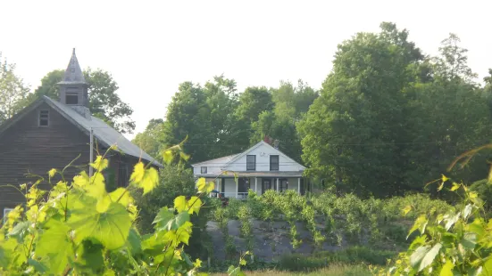 Whaleback Vineyard