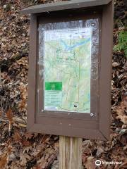 Fox Forest Wildlife Management Area