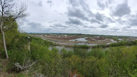 Eagle Bluffs Wildlife Conservation