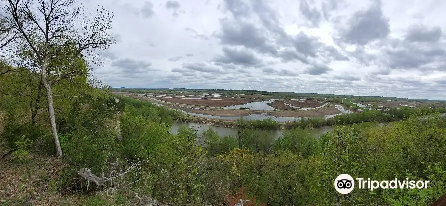 Eagle Bluffs Wildlife Conservation