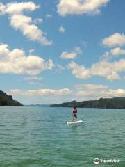 K Bay Kayak & Paddleboard Hire