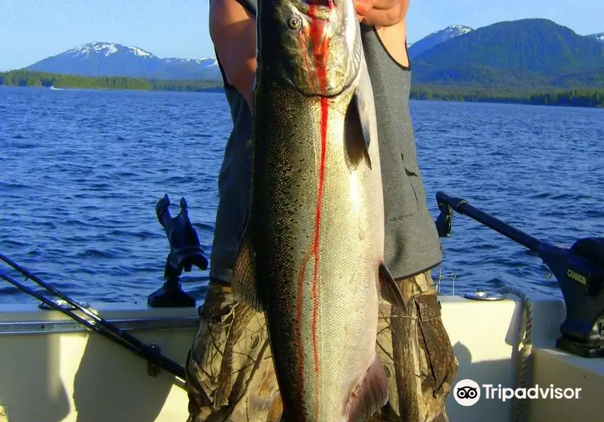 Alaska Sportfishing Adventures, LLC