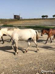 デュニア公園