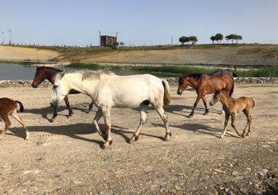 Ouled Fayet