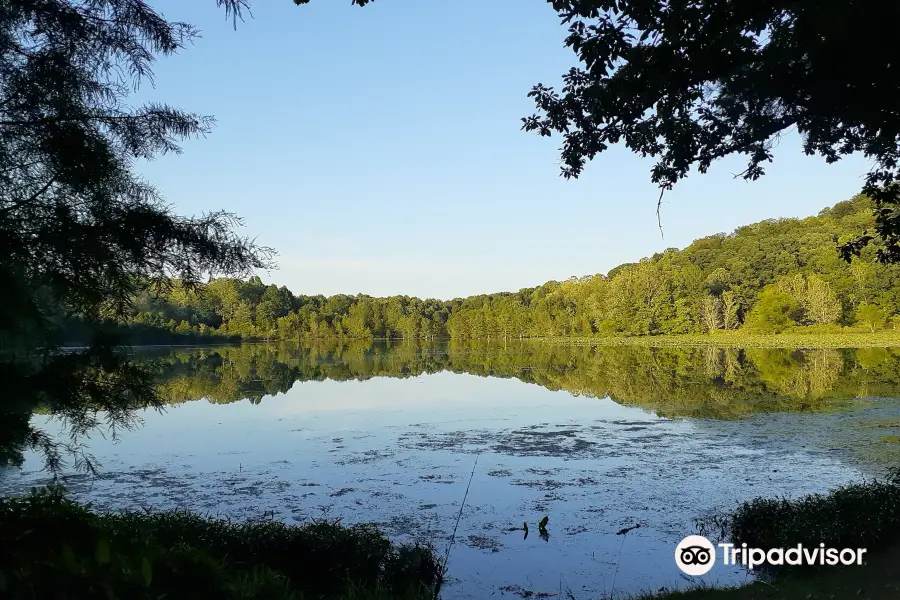 Starve Hollow State Recreation Area