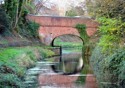 Bridgwater Docks Canalside