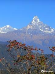 Himalayan Hidden Treasure