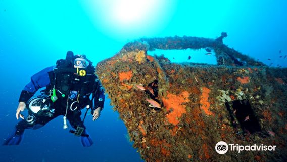 European Diving School