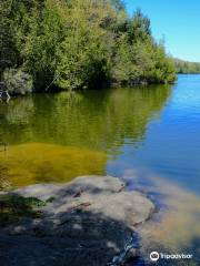 Shelburne Pond