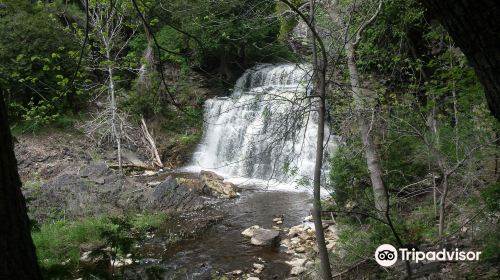 Jones Falls