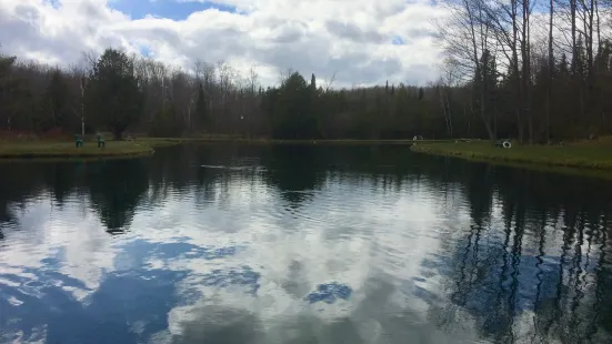 Primrose Trout Farm