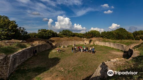 Giampaolo Terrosi Guida Turistica Maremma