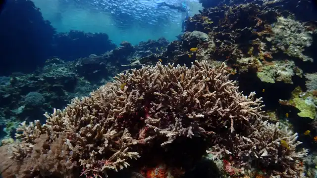 Hotels near Okinawa Diving
