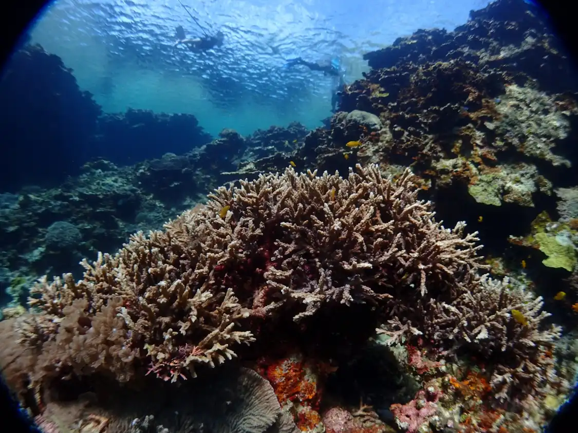 Hotel in zona Oki Dive