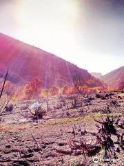 Wild Horse State Recreation Area