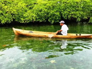 Panama al Natural