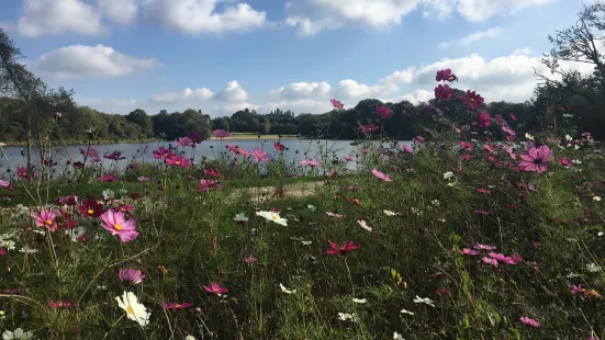 Jardin de Kervezennec