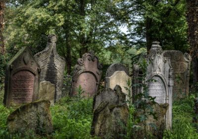 Old Jewish cemetery in Kolín