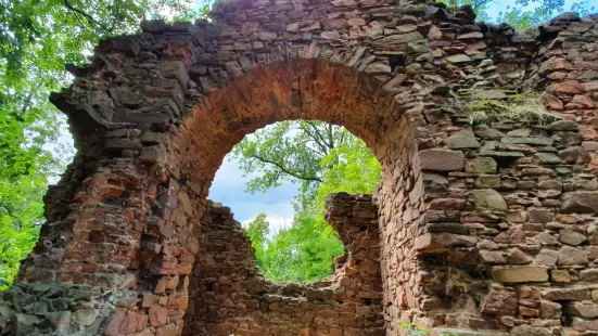 Castle ruins Fulštejn