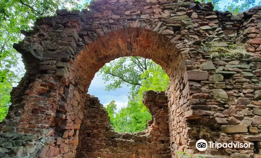 Castle ruins Fulštejn