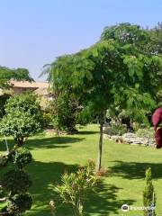 Jardin du Vieux Colombier