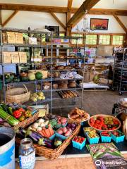 Earth Sky Time Community Farm