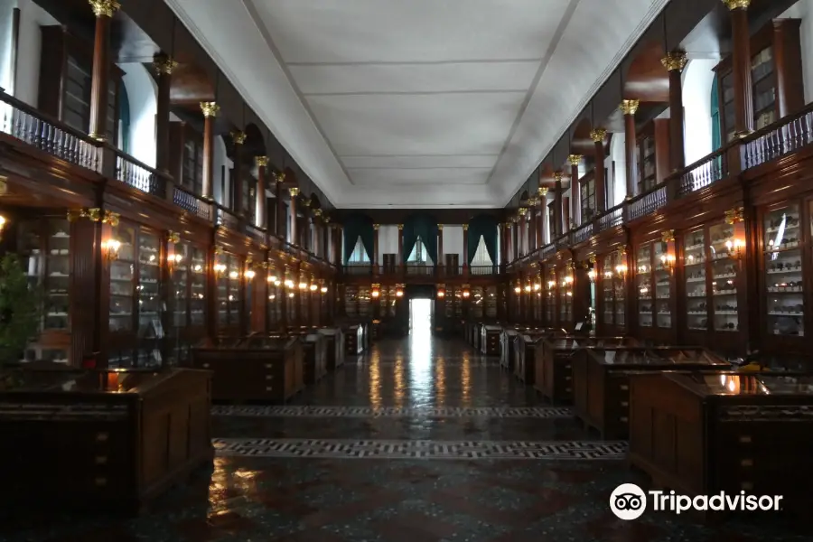 Centro Musei delle Scienze Naturali