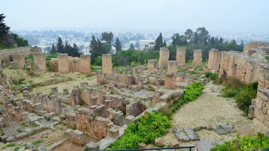 Tophet de Carthage