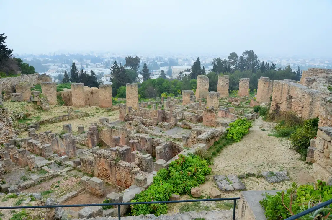 Hotels near Tophet de Carthage