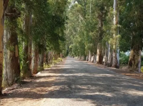 Aşıklar yolu
