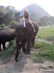 Mayrin Elephant Family Camp