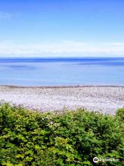 South West Coast Path - Culver Cliff Woodland Walk