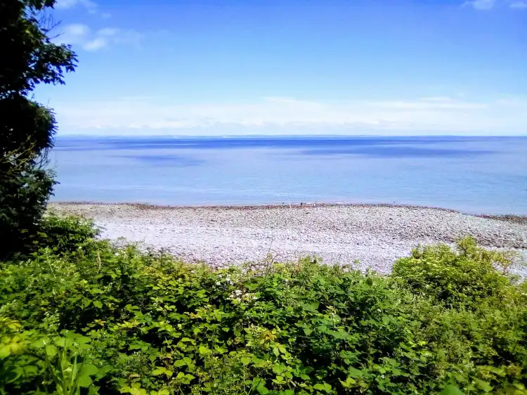 Hotels near South West Coast Path - Culver Cliff Woodland Walk