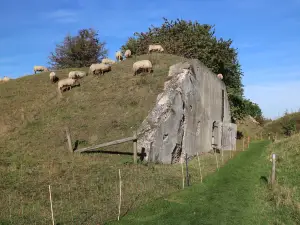 Fort Sabina