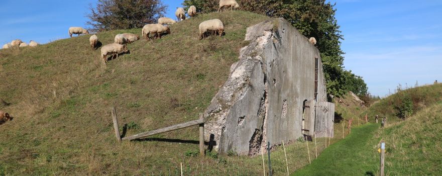 Fort Sabina