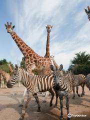 Belfast Zoo