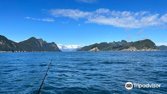 Saltwater Safari Company