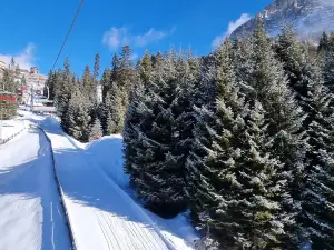 Latemar Dolomites - Predazzo