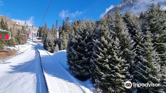Latemar Dolomites - Predazzo
