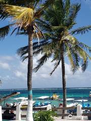 Snorkeling Puerto Morelos