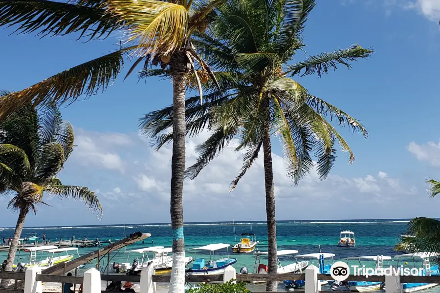 Snorkeling Puerto Morelos