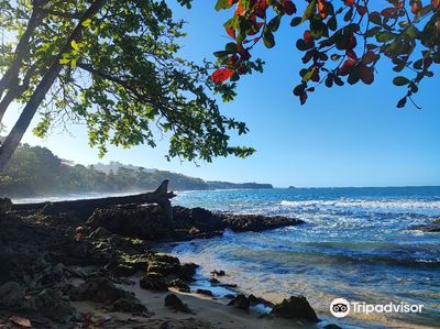 Playa Cocles