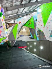 Rock Domain Climbing Gym