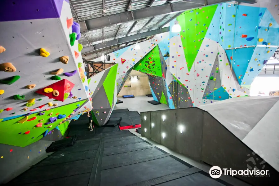 Rock Domain Climbing Gym